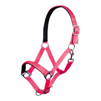 Halfter Stars Softice weiches Futter HKM Neonpink Rosa