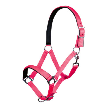 Halfter Stars Softice weiches Futter HKM Neonpink Rosa Halfter Stars Softice weiches Futter HKM Neonpink Rosa