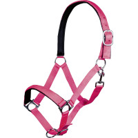 Halfter Stars Softice weiches Futter HKM Neongelb Halfter Stars Softice weiches Futter HKM Neongelb