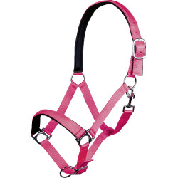 Halfter Stars Softice weiches Futter HKM Neonpink Rosa Halfter Stars Softice weiches Futter HKM Neonpink Rosa