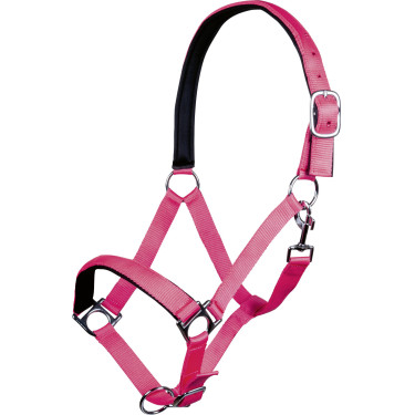 Halfter Stars Softice weiches Futter HKM Neonpink Rosa Halfter Stars Softice weiches Futter HKM Neonpink Rosa