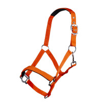 Halfter Sydney Style HKM Neonorange