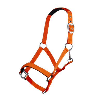 Halfter Sydney Style HKM Neonorange