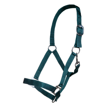 Halfter Brisbane HKM Dunkelgrün Grün Halfter Brisbane HKM Dunkelgrün Grün