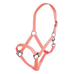 Halfter Stars Economy Softice HKM Halfter Stars Economy Softice HKM