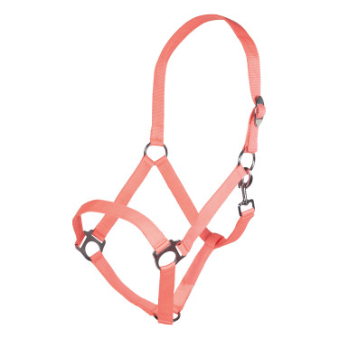 Halfter Stars Economy Softice HKM Halfter Stars Economy Softice HKM