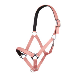 Halfter Stars Softice weiches Futter HKM Halfter Stars Softice weiches Futter HKM