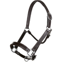 Licol en cuir Economic HKM Marron