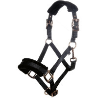 Halfter Rosegold Glamour Style HKM Schwarz / Roségold Halfter Rosegold Glamour Style HKM Schwarz / Roségold