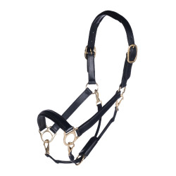 Lederhalfter Gold HKM