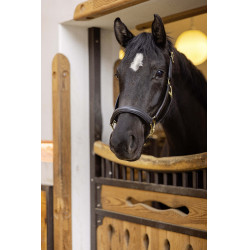 Lederhalfter Gold HKM Schwarz