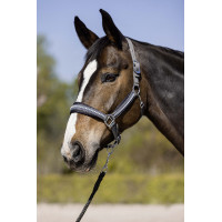 Longe Berry mit Karabinerhaken HKM Dunkelgrau