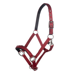 Halfter Breakaway 2 HKM Halfter Breakaway 2 HKM