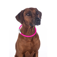 LED-Leuchthalsband für Hunde HKM Pink Rosa LED-Leuchthalsband für Hunde HKM Pink Rosa