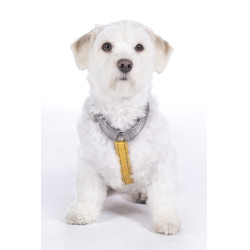 new Taupe / Gelbgold Grau new Taupe / Gelbgold Grau