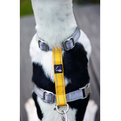 new Taupe / Gelbgold Grau new Taupe / Gelbgold Grau