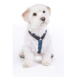 new Dunkelblau / Petrol