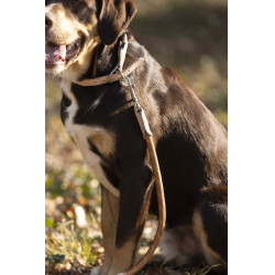 Dressurleine für Hunde Anam Cara Seil HKM Brandy Braun