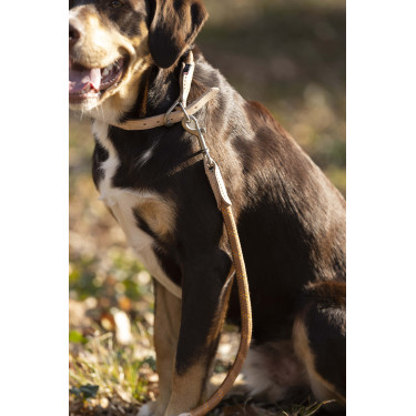 Dressurleine für Hunde Anam Cara Seil HKM Brandy Braun