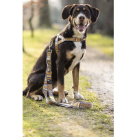 Dressurleine für Hunde Anam Cara bedruckt HKM Taupe / Gelbgold Grau Dressurleine für Hunde Anam Cara bedruckt HKM Taupe / Gelbgold Grau