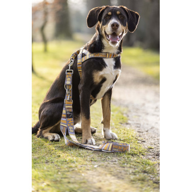 Dressurleine für Hunde Anam Cara bedruckt HKM Dressurleine für Hunde Anam Cara bedruckt HKM