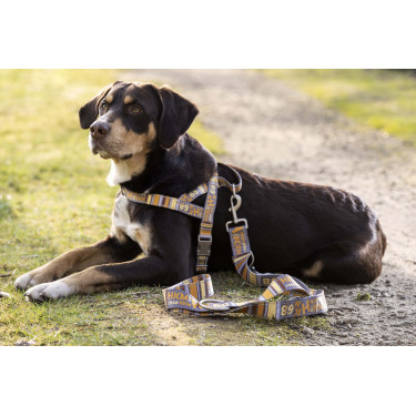 Dressurleine für Hunde Anam Cara bedruckt HKM Dressurleine für Hunde Anam Cara bedruckt HKM