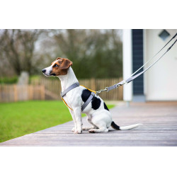 Hundetrainingsleine Anam Cara Nylon HKM Maulwurf Braun