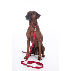 Hundetrainingsleine Anam Cara Nylon HKM Hundetrainingsleine Anam Cara Nylon HKM