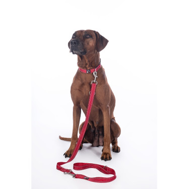 Hundetrainingsleine Anam Cara Nylon HKM Hundetrainingsleine Anam Cara Nylon HKM