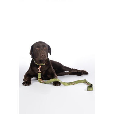 Qooper Nylon HKM Hundetrainingsleine