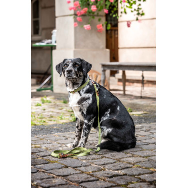 Qooper Nylon HKM Hundetrainingsleine Qooper Nylon HKM Hundetrainingsleine
