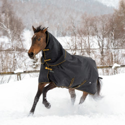 Bucas Irish Turnout Big Neck Light 50g Decke Bucas Irish Turnout Big Neck Light 50g Decke