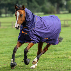 Bucas Therapy Turnout-Decke 150g Marine / Orange Blau