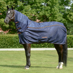 Therapy Mesh Halsstück Bucas Marine / Orange Blau