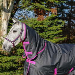Bucas Freedom Turnout Full Neck 150g Decke Bucas Freedom Turnout Full Neck 150g Decke