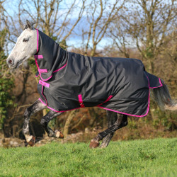 Bucas Freedom Turnout Full Neck 150g Decke Bucas Freedom Turnout Full Neck 150g Decke