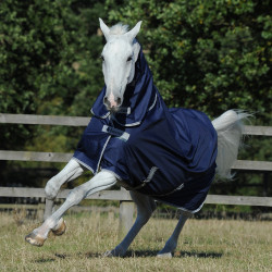 Bucas Freedom Turnout Full Neck Light Decke Bucas Freedom Turnout Full Neck Light Decke