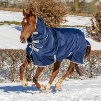 Bucas Freedom Turnout Full Neck Light Decke Marineblau Bucas Freedom Turnout Full Neck Light Decke Marineblau