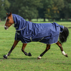 Bucas Freedom Turnout Full Neck Light Decke Bucas Freedom Turnout Full Neck Light Decke