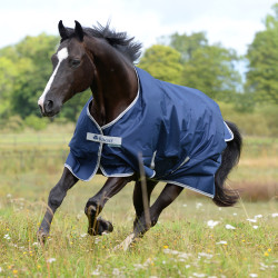 Bucas Freedom Turnout Light Decke Bucas Freedom Turnout Light Decke