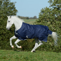 Bucas Freedom Turnout-Decke 150g Marine / Silber Blau Bucas Freedom Turnout-Decke 150g Marine / Silber Blau