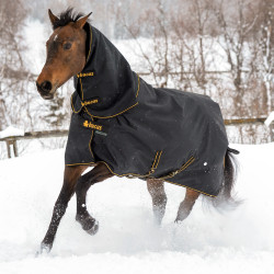 Halsdecke Bucas Irish Combi Neck Schwarz / Gold Halsdecke Bucas Irish Combi Neck Schwarz / Gold