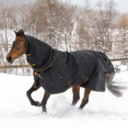 Halsdecke Bucas Irish Combi Neck Schwarz / Gold Halsdecke Bucas Irish Combi Neck Schwarz / Gold