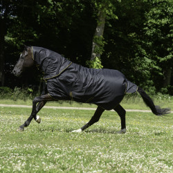 Halsdecke Bucas Irish Combi Neck Schwarz / Gold Halsdecke Bucas Irish Combi Neck Schwarz / Gold