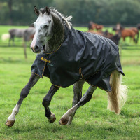 Bucas Irish Turnout High Neck Extra 300g Decke Schwarz / Gold Bucas Irish Turnout High Neck Extra 300g Decke Schwarz / Gold