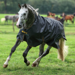 Bucas Irish Turnout High Neck Extra 300g Decke Schwarz / Gold