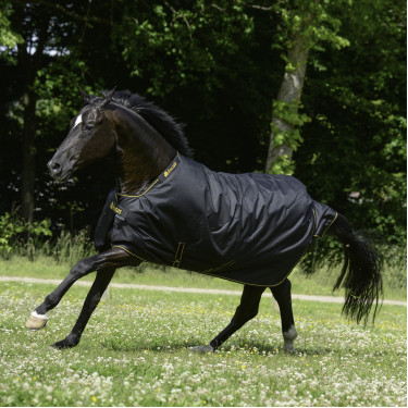 Bucas Irish Turnout Extra 300g Decke Schwarz / Gold