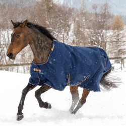 Bucas Irish Turnout Medium 150g Decke Marine / Gold Blau Bucas Irish Turnout Medium 150g Decke Marine / Gold Blau