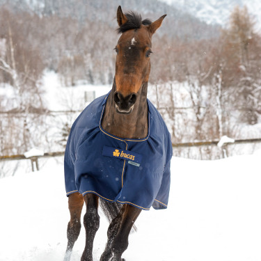 Bucas Irish Turnout Medium 150g Decke Marine / Gold Blau Bucas Irish Turnout Medium 150g Decke Marine / Gold Blau