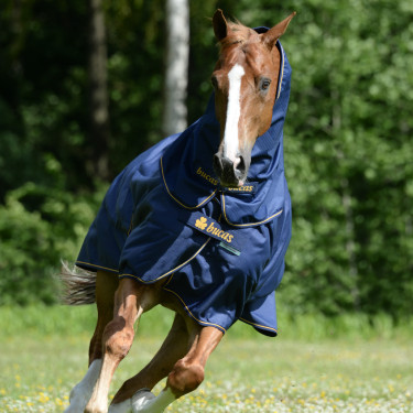 Bucas Irish Turnout Medium 150g Decke Marine / Gold Blau Bucas Irish Turnout Medium 150g Decke Marine / Gold Blau